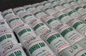 کود شیمیایی آمونیوم فسفات-سیف خوزستان